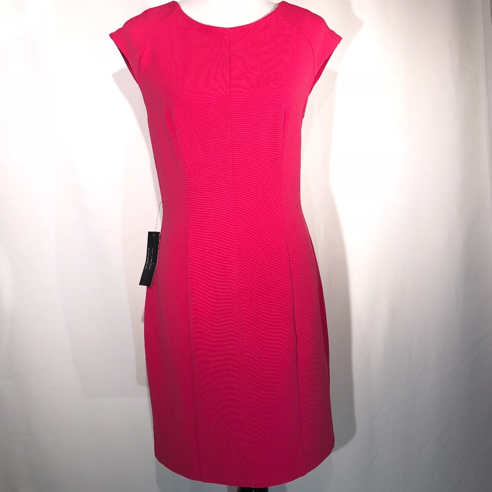 NWT!  The Limited Pink Sheath Dress  (8)